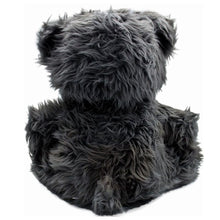 Load image into Gallery viewer, Day of the Ted Bear Plush Toy by Spiral Direct
