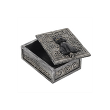 Load image into Gallery viewer, Gothic Black Cat Resin Storage Box
